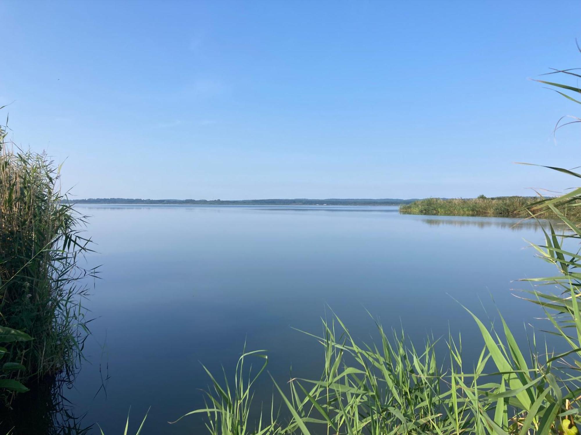 Nowe Apartamenty Ostoja - Nad Baltykiem - Cisza I Piekno Natury Zastan エクステリア 写真