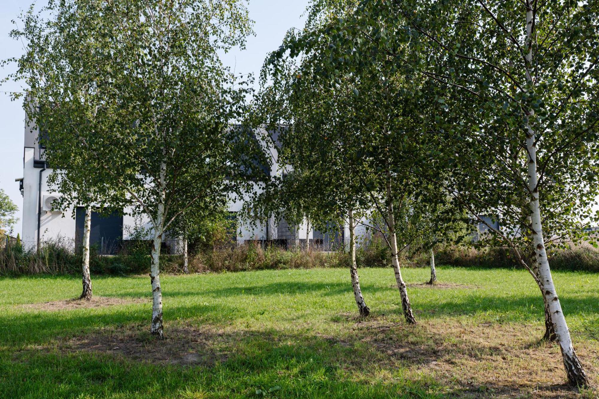 Nowe Apartamenty Ostoja - Nad Baltykiem - Cisza I Piekno Natury Zastan エクステリア 写真